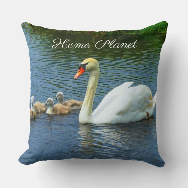 Coussin Joli lac des cygnes & calligraphie de la planète d (Recto)
