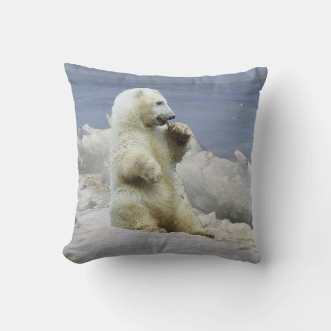 Coussin Joli Ourson Polaire & Glace Arctique (Recto)