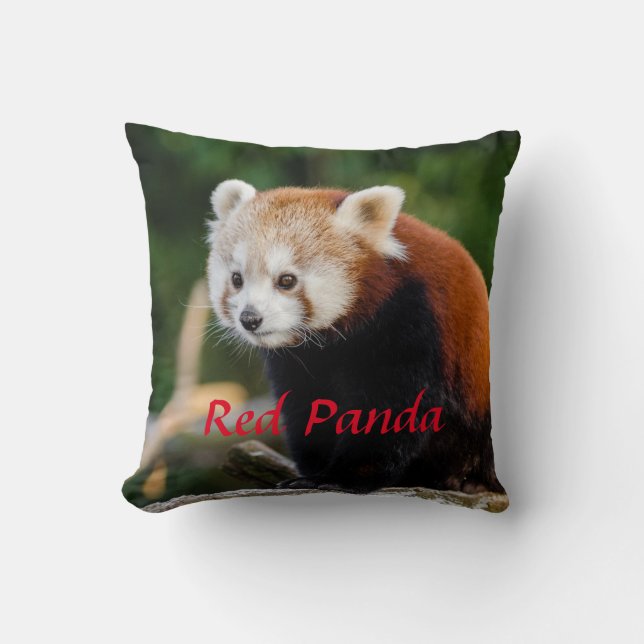 Coussin Joli Panda roux Nature sauvage Texte rouge (Recto)