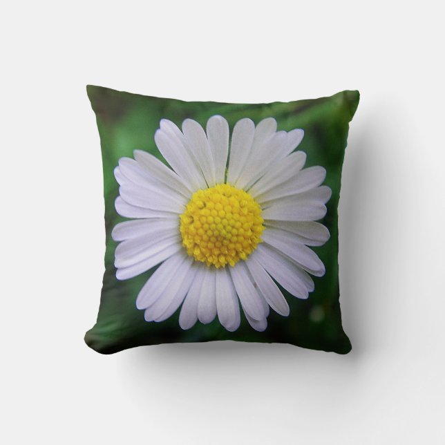 Coussin Jolie Daisy (Recto)