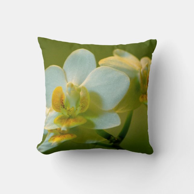 Coussin jolie orchidée blanche dans le vert. Jardin floral (Recto)
