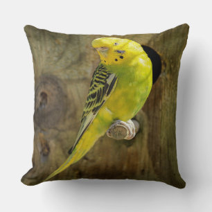 Coussin Jolie Parakeet Jaune