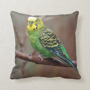 Coussin Jolie Perruque verte