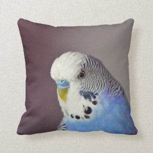 Coussin Jolie photo Blue Budgie