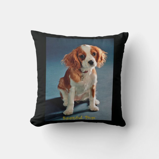 Coussin Jote Chiot Charles ~ Cavalier King Spaniel ~ & ~ ~ (Recto)