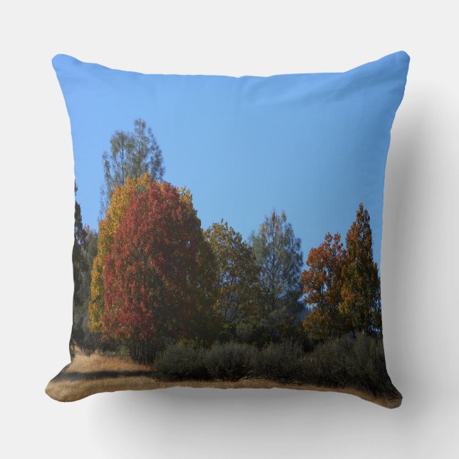 Coussin Jour d'automne dans le pays...... (Recto)