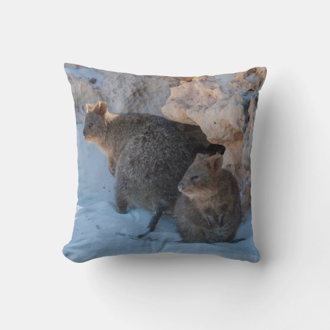 Coussin Joyeux et mignons quokkas sur la plage (Recto)