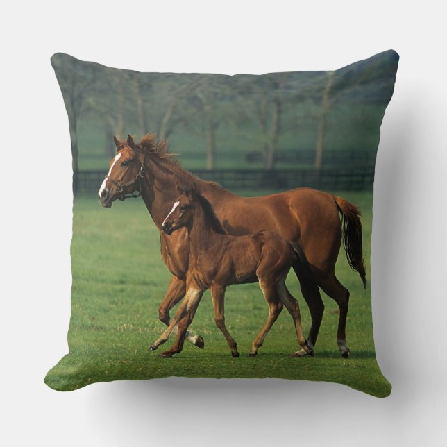 Coussin Jument et poulain 3 de pur sang (Recto)