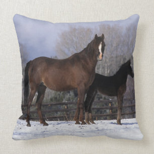 Coussin Jument et poulain arabes dans la neige