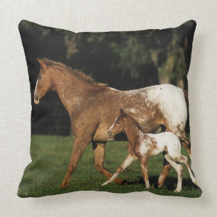 Coussin Jument et poulain d'Appaloosa