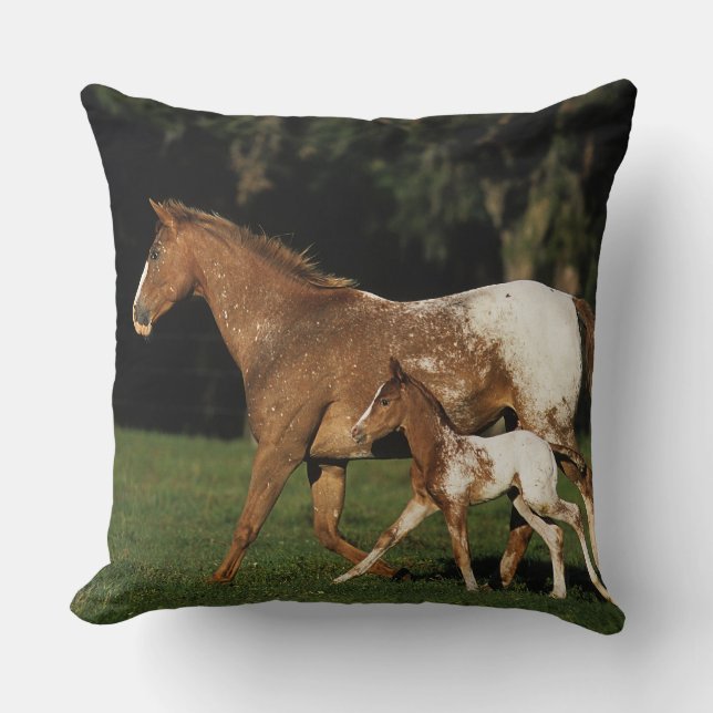Coussin Jument et poulain d'Appaloosa (Recto)