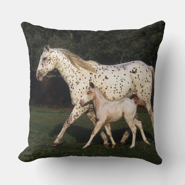 Coussin Jument et poulain d'Appaloosa dans le domaine (Recto)