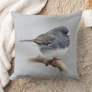 Coussin Junco à sourcils foncés dans l'arbre