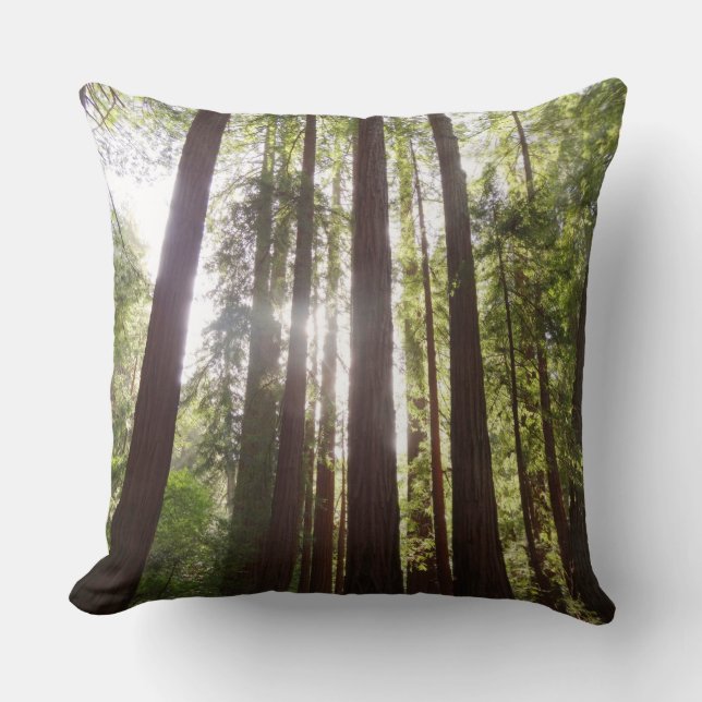Coussin Jusqu'aux Séquoias le Matin (Recto)