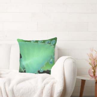 Coussin Kalanchoe