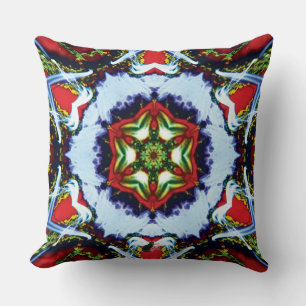 Coussin Kaléidoscope Bigarré