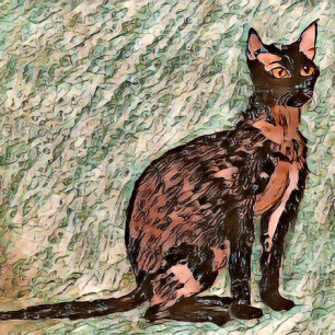 Coussin Karl Le Chat 🐈