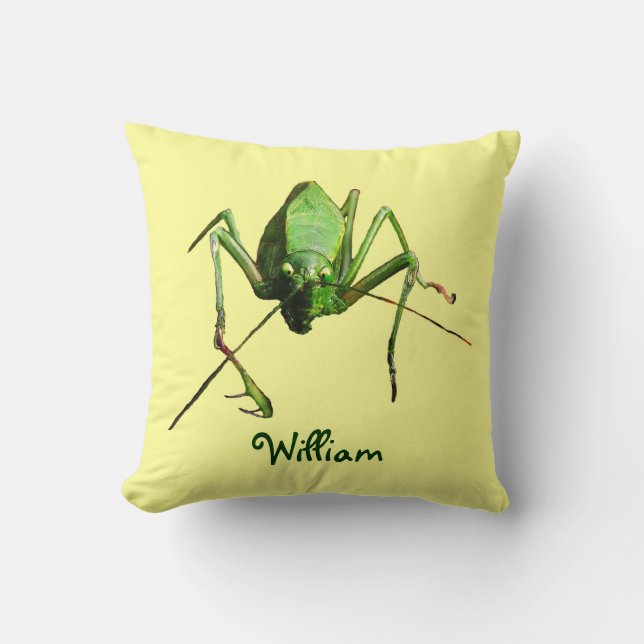 Coussin Katydid (Recto)