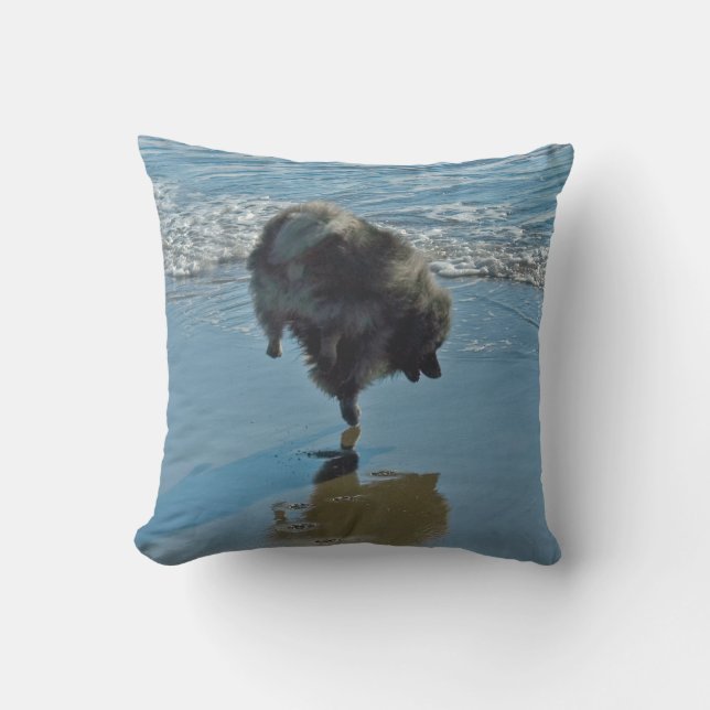 Coussin Keeshond Ballet Photographie - Joli chien d'origin (Recto)