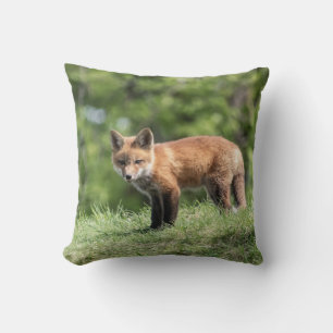 Coussin Kit de Fox rouge