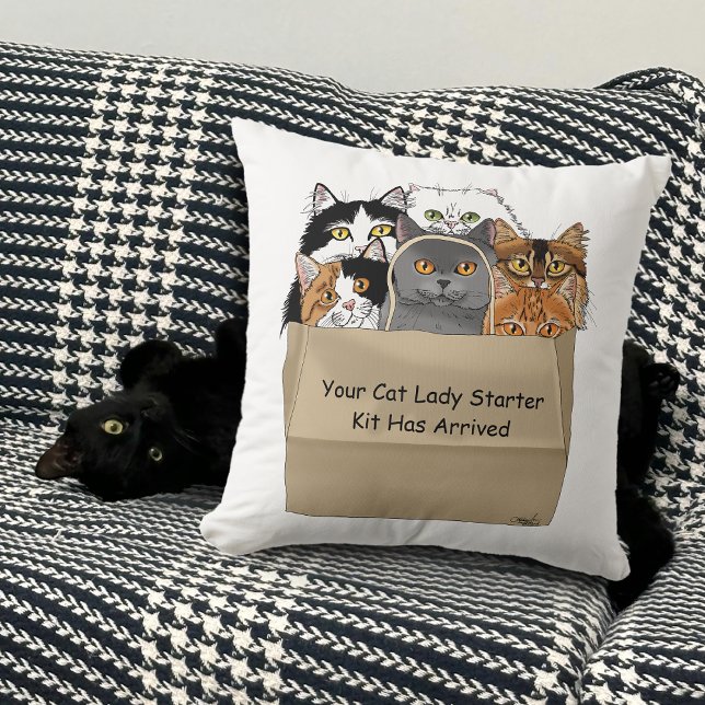Coussin Kit d'entrée Lady Cat (Créateur téléchargé)