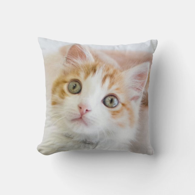 Coussin Kitty observé par bleu doux (Recto)