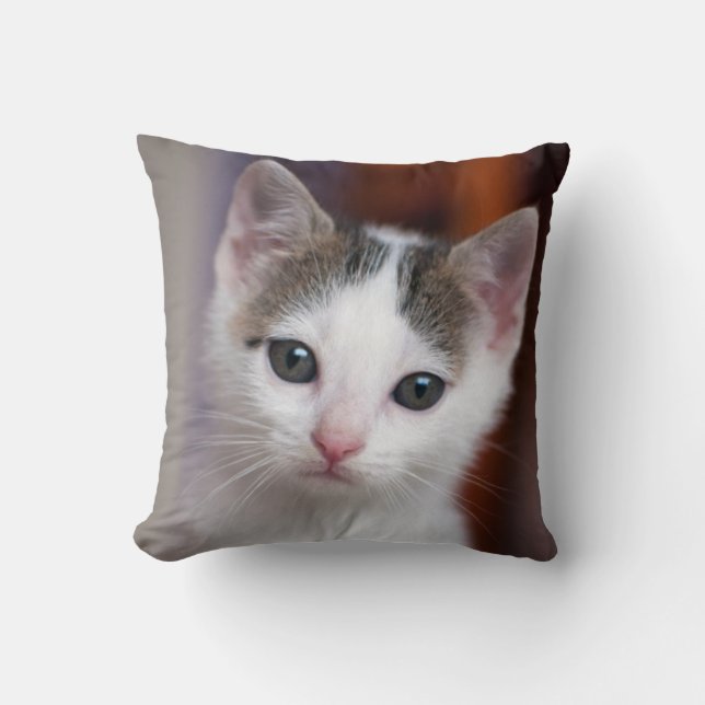 Coussin Kitty repéré par blanc (Recto)