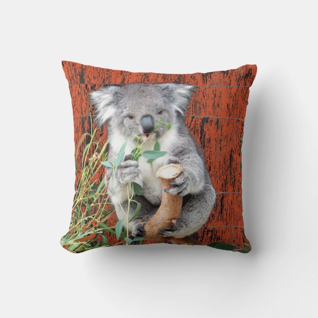 Coussin Koala Snack (Recto)