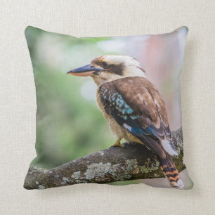 Coussin Kookaburra sur branche
