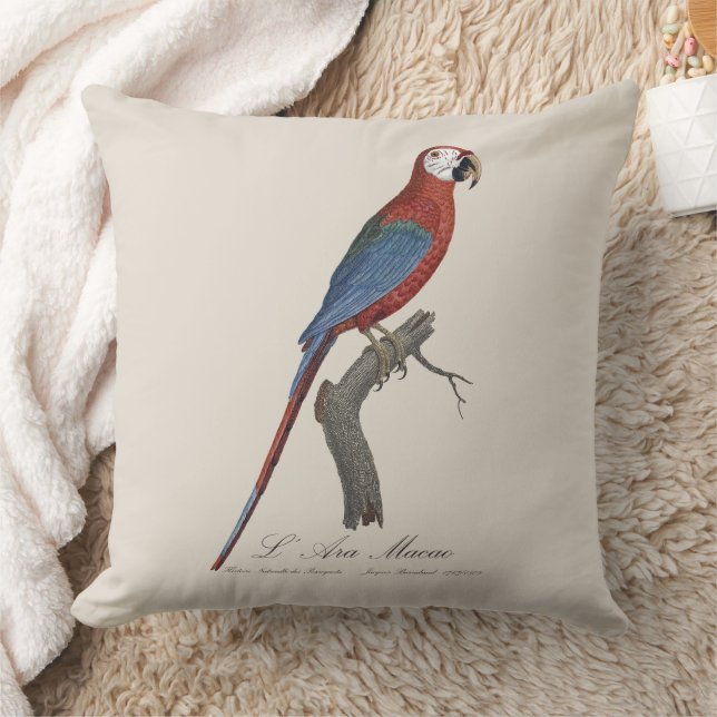 Coussin L' Ara Macao / Red and green Macaw  (Couverture)