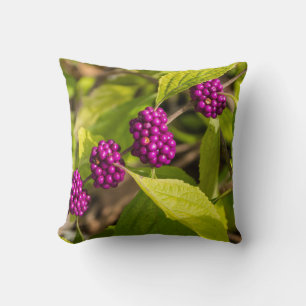 Coussin La Belle-Belle Américaine