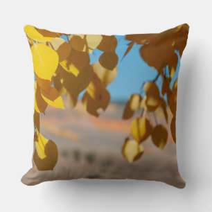 Coussin La coloration des trembles à Crested Butte