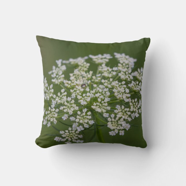 Coussin La dentelle de la reine Anne (Recto)