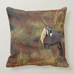 Coussin La faune africaine Oryx Antelope Dune Savannah