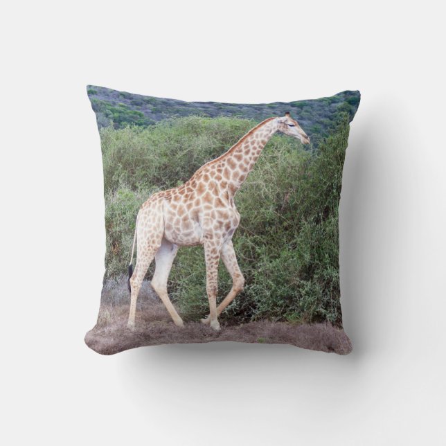 Coussin La girafe en pleine nature (Recto)