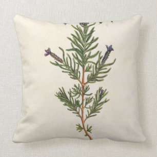 Coussin La lavande française, plaquent 241 'd'un Herbal