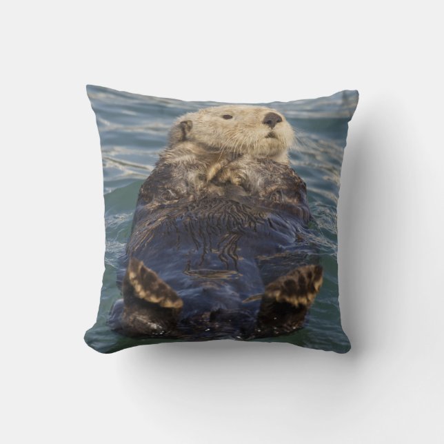 Coussin La loutre de mer joue sur les icebergs à Surprise  (Recto)