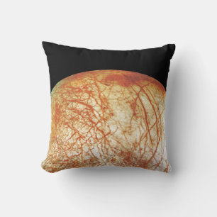 Coussin La lune européenne de Jupiter