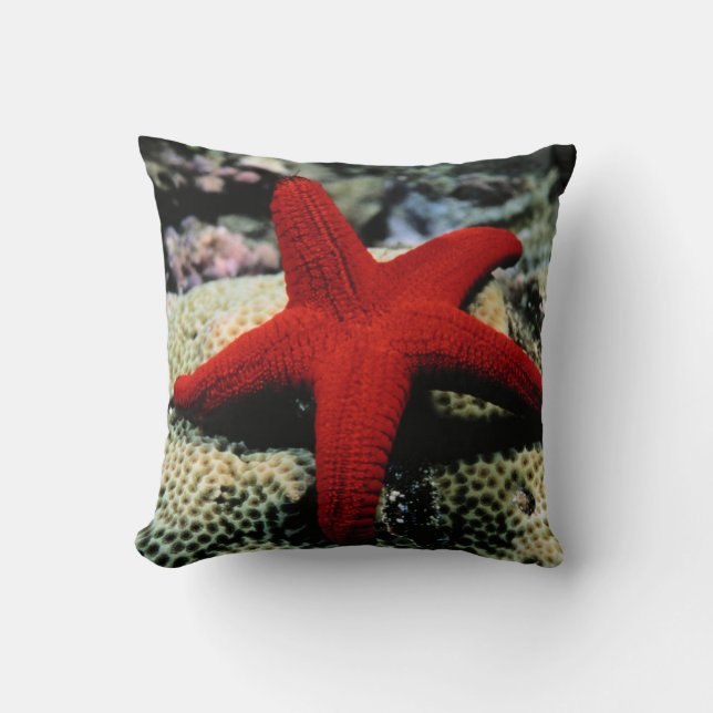 Coussin La Mer Rouge des poissons | d'étoile (Recto)