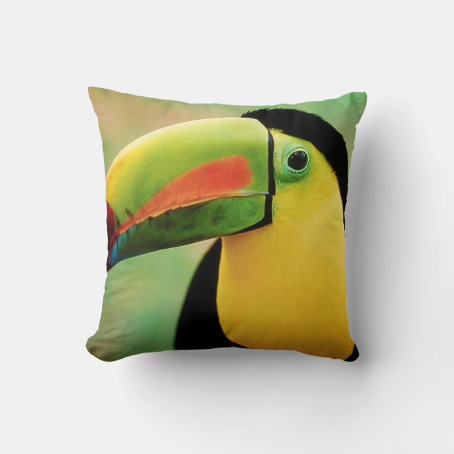 Coussin La nature sauvage des oiseaux du Toucan (Recto)