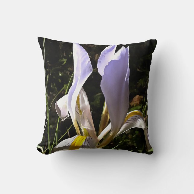 Coussin La peinture Fleur sauvage algérienne Iris Hyperréa (Recto)