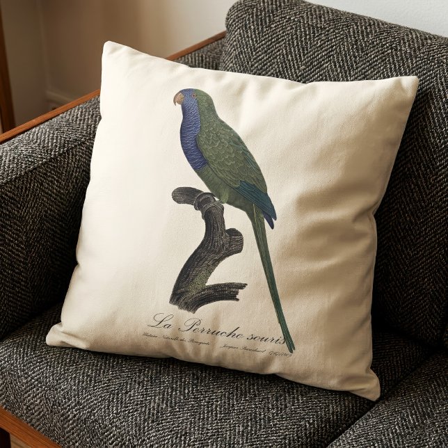 Coussin La Perruche souris / Perruche veuve  (Monk Parakeet or Monk Parrot, Myiopsitta Monachus. Throw Pillow)