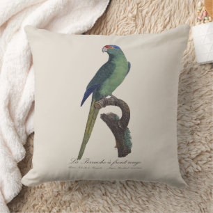 Coussin La Perruche un front rouge
