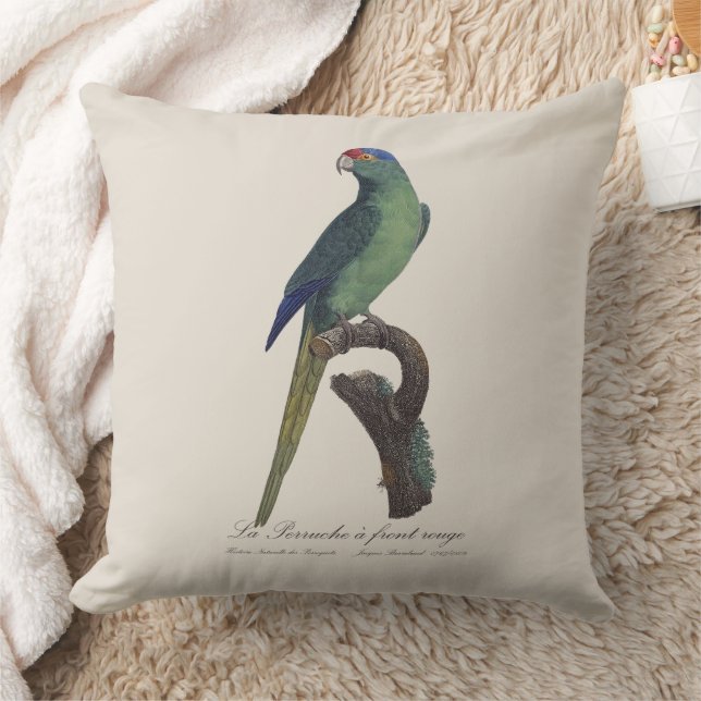 Coussin La Perruche un front rouge (Couverture)