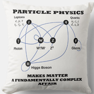 Coussin La Physique Des Particules Fait De La Matière Une