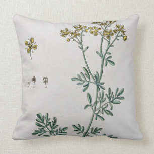 Coussin La rue, plaquent 7 "d'un de fines herbes curieux",