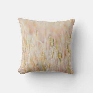 COUSSIN LA TERRE DE PÂTE A ÉTÉ TRANSFORMÉE EN PASTEL-COLOR