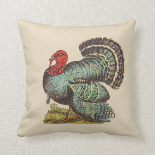Coussin La Turquie vintage