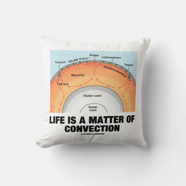 Coussin La vie est une question de convection Humour de sc (Recto)