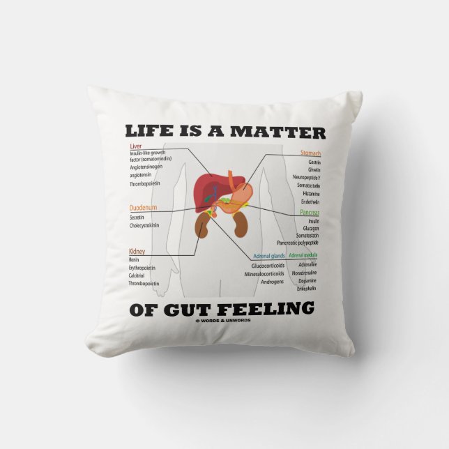 Coussin La Vie Est Une Question De Sentiment D'Humour Anat (Recto)